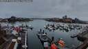 ./images/victoria/wharf/20260317/wharf20260317_191502M.jpg