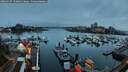 ./images/victoria/wharf/20260317/wharf20260317_192002M.jpg