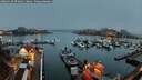./images/victoria/wharf/20260318/wharf20260318_071001M.jpg