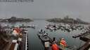 ./images/victoria/wharf/20260318/wharf20260318_073501M.jpg