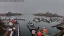 ./images/victoria/wharf/20260318/wharf20260318_075501M.jpg