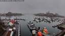 ./images/victoria/wharf/20260318/wharf20260318_080001M.jpg