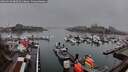 ./images/victoria/wharf/20260318/wharf20260318_080501M.jpg