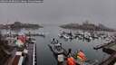 ./images/victoria/wharf/20260318/wharf20260318_081001M.jpg
