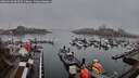 ./images/victoria/wharf/20260318/wharf20260318_082501M.jpg