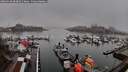 ./images/victoria/wharf/20260318/wharf20260318_083001M.jpg