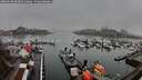 ./images/victoria/wharf/20260318/wharf20260318_083501M.jpg