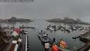 ./images/victoria/wharf/20260318/wharf20260318_084001M.jpg