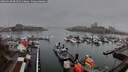 ./images/victoria/wharf/20260318/wharf20260318_084501M.jpg