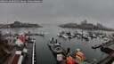 ./images/victoria/wharf/20260318/wharf20260318_085001M.jpg
