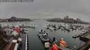 ./images/victoria/wharf/20260318/wharf20260318_085501M.jpg