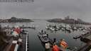 ./images/victoria/wharf/20260318/wharf20260318_090002M.jpg