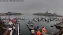 ./images/victoria/wharf/20260318/wharf20260318_090501M.jpg