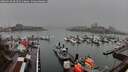 ./images/victoria/wharf/20260318/wharf20260318_091501M.jpg