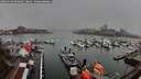 ./images/victoria/wharf/20260318/wharf20260318_092001M.jpg
