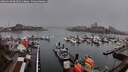 ./images/victoria/wharf/20260318/wharf20260318_092501M.jpg