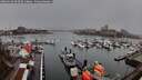 ./images/victoria/wharf/20260318/wharf20260318_093501M.jpg