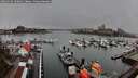 ./images/victoria/wharf/20260318/wharf20260318_100001M.jpg
