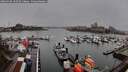 ./images/victoria/wharf/20260318/wharf20260318_102501M.jpg