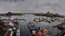 ./images/victoria/wharf/20260318/wharf20260318_104002M.jpg