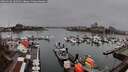 ./images/victoria/wharf/20260318/wharf20260318_105002M.jpg