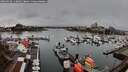 ./images/victoria/wharf/20260318/wharf20260318_113001M.jpg