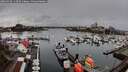 ./images/victoria/wharf/20260318/wharf20260318_113501M.jpg