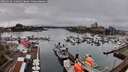 ./images/victoria/wharf/20260318/wharf20260318_133001M.jpg