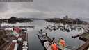 ./images/victoria/wharf/20260318/wharf20260318_134001M.jpg