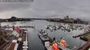./images/victoria/wharf/20260318/wharf20260318_135501M.jpg
