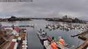 ./images/victoria/wharf/20260318/wharf20260318_145501M.jpg