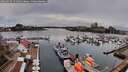 ./images/victoria/wharf/20260318/wharf20260318_151501M.jpg