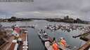 ./images/victoria/wharf/20260318/wharf20260318_152501M.jpg