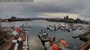 ./images/victoria/wharf/20260318/wharf20260318_180002M.jpg