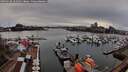./images/victoria/wharf/20260318/wharf20260318_181001M.jpg