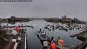 ./images/victoria/wharf/20260319/wharf20260319_074501M.jpg