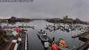 ./images/victoria/wharf/20260319/wharf20260319_075001M.jpg