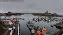 ./images/victoria/wharf/20260319/wharf20260319_075501M.jpg