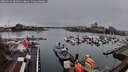 ./images/victoria/wharf/20260319/wharf20260319_081002M.jpg