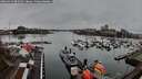 ./images/victoria/wharf/20260319/wharf20260319_082002M.jpg