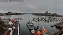 ./images/victoria/wharf/20260319/wharf20260319_083502M.jpg