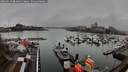 ./images/victoria/wharf/20260319/wharf20260319_084002M.jpg