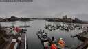 ./images/victoria/wharf/20260319/wharf20260319_085502M.jpg