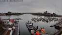 ./images/victoria/wharf/20260319/wharf20260319_093501M.jpg