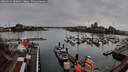 ./images/victoria/wharf/20260319/wharf20260319_100001M.jpg