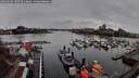 ./images/victoria/wharf/20260319/wharf20260319_100501M.jpg
