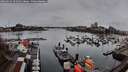./images/victoria/wharf/20260319/wharf20260319_102501M.jpg