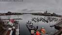 ./images/victoria/wharf/20260319/wharf20260319_103001M.jpg