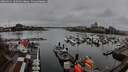 ./images/victoria/wharf/20260319/wharf20260319_105002M.jpg