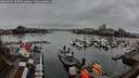./images/victoria/wharf/20260319/wharf20260319_105501M.jpg